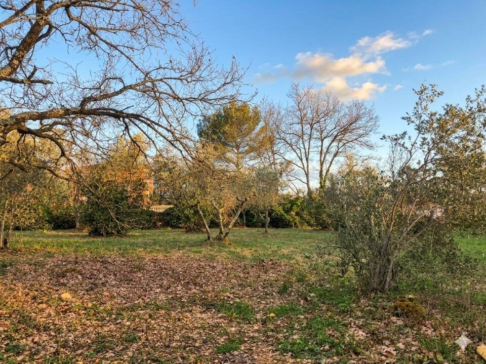 Terrain à BRIGNOLES