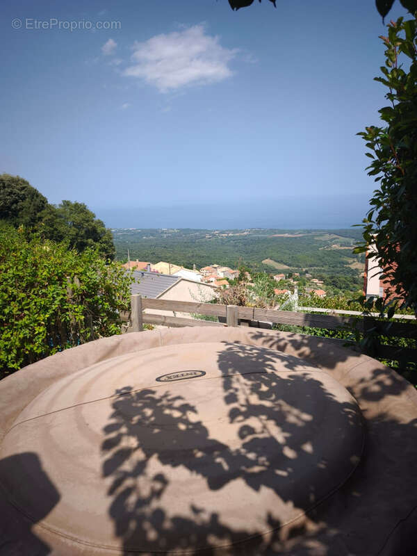 Maison de village - Studio T5 Cervione - photo 17