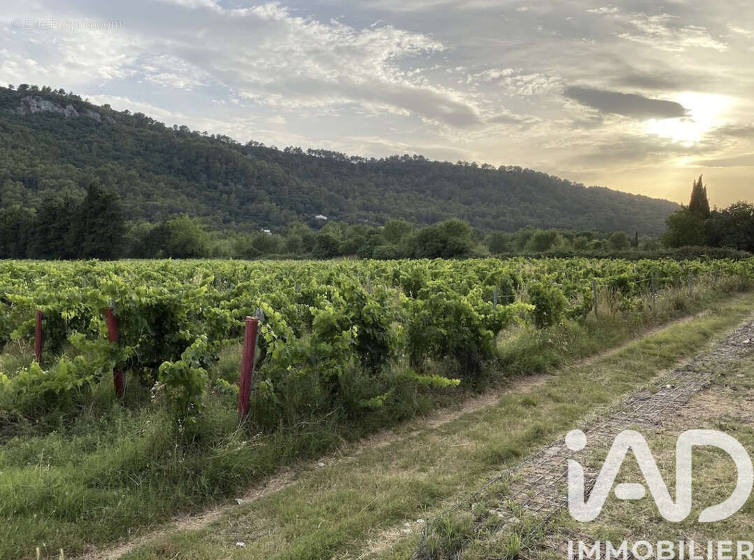 Photo 8 - Maison à VIDAUBAN