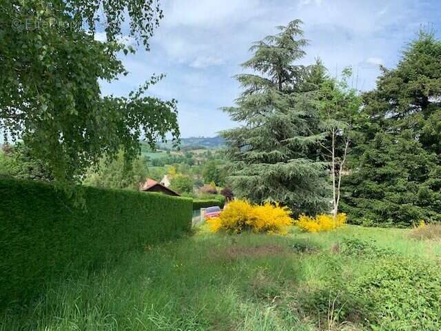 Terrain à CHAUFFAILLES