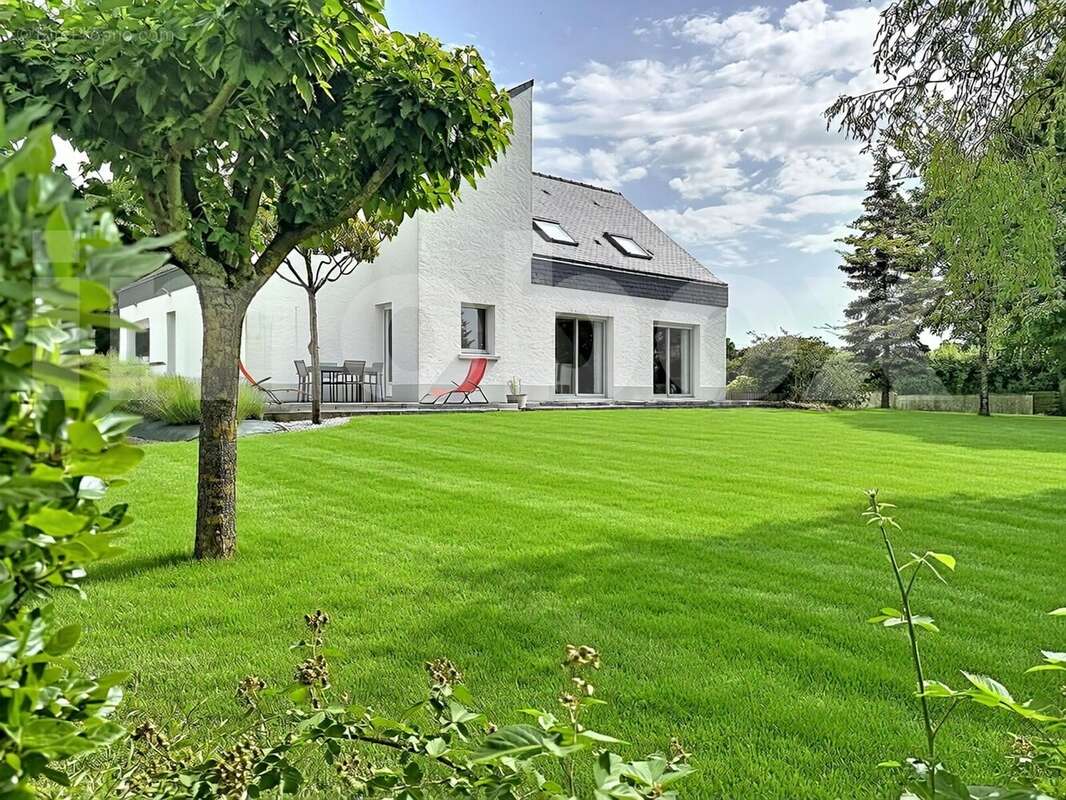menard-ligne_00001(2) - Maison à LIGNE
