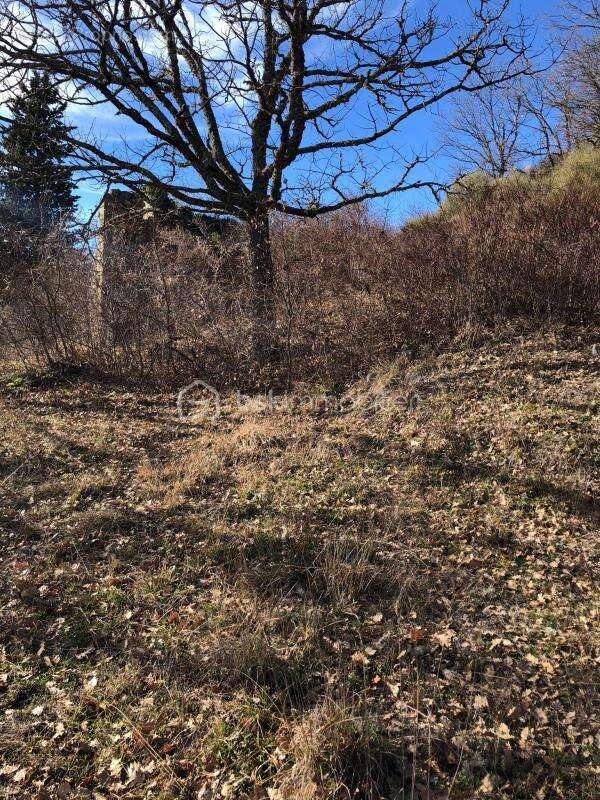À Vendre - Terrain Constructible de 1 700 m² à Mujouls - photo 3