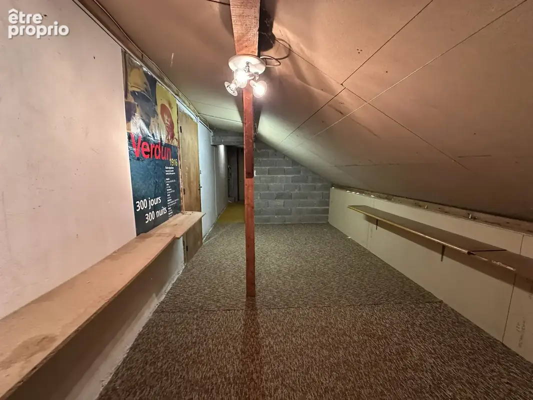 Maison secteur calme nouveau sur Damelevières - photo 17