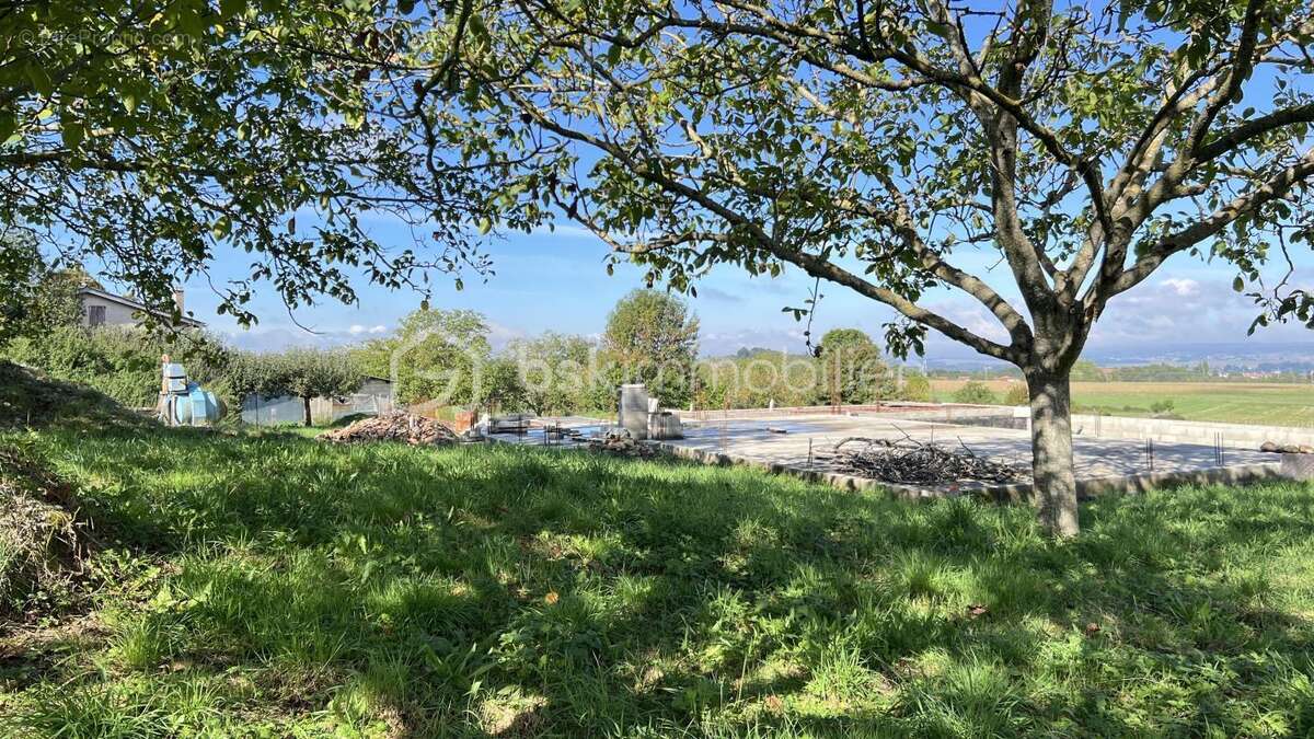 Terrain à VIRIVILLE