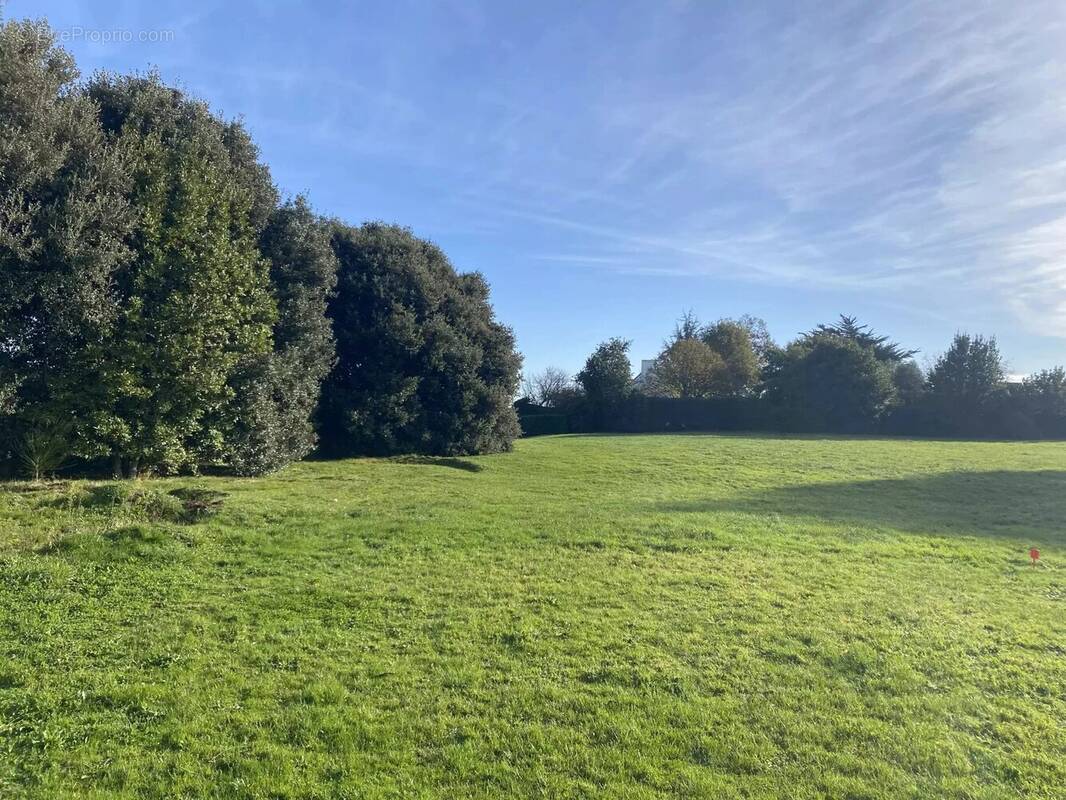 Terrain à LARMOR-BADEN