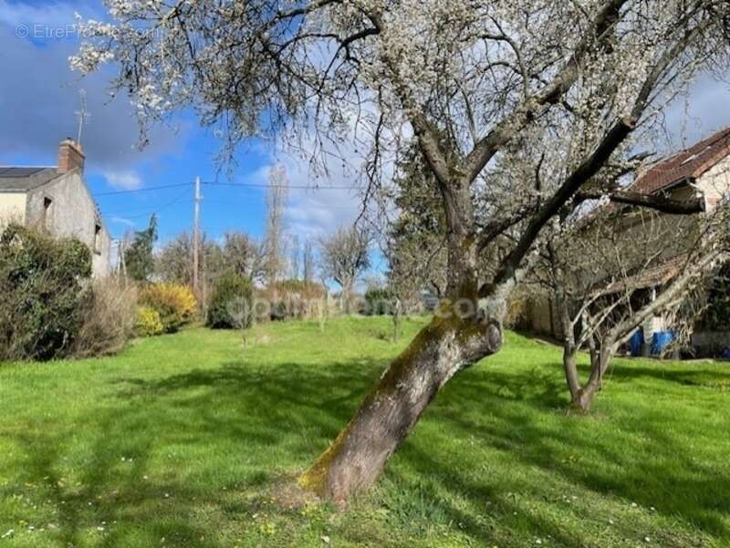 Terrain à SAINT-CYR-SOUS-DOURDAN