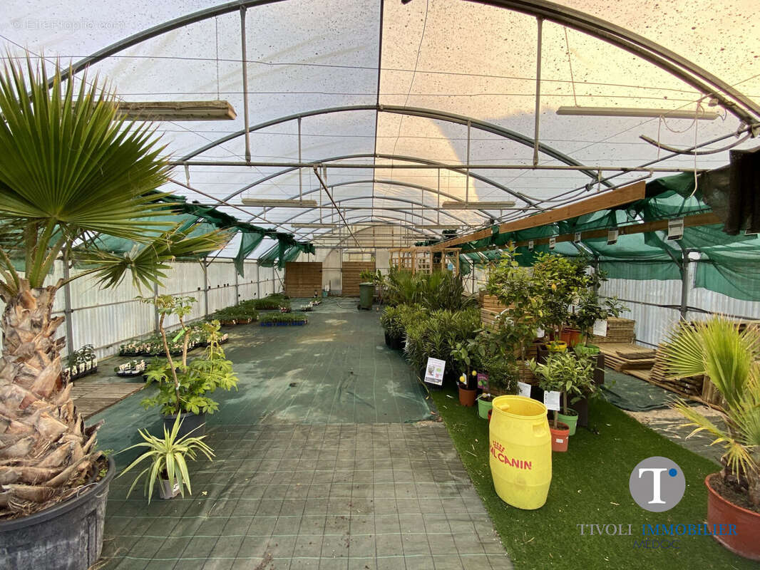 Commerce à LESPARRE-MEDOC