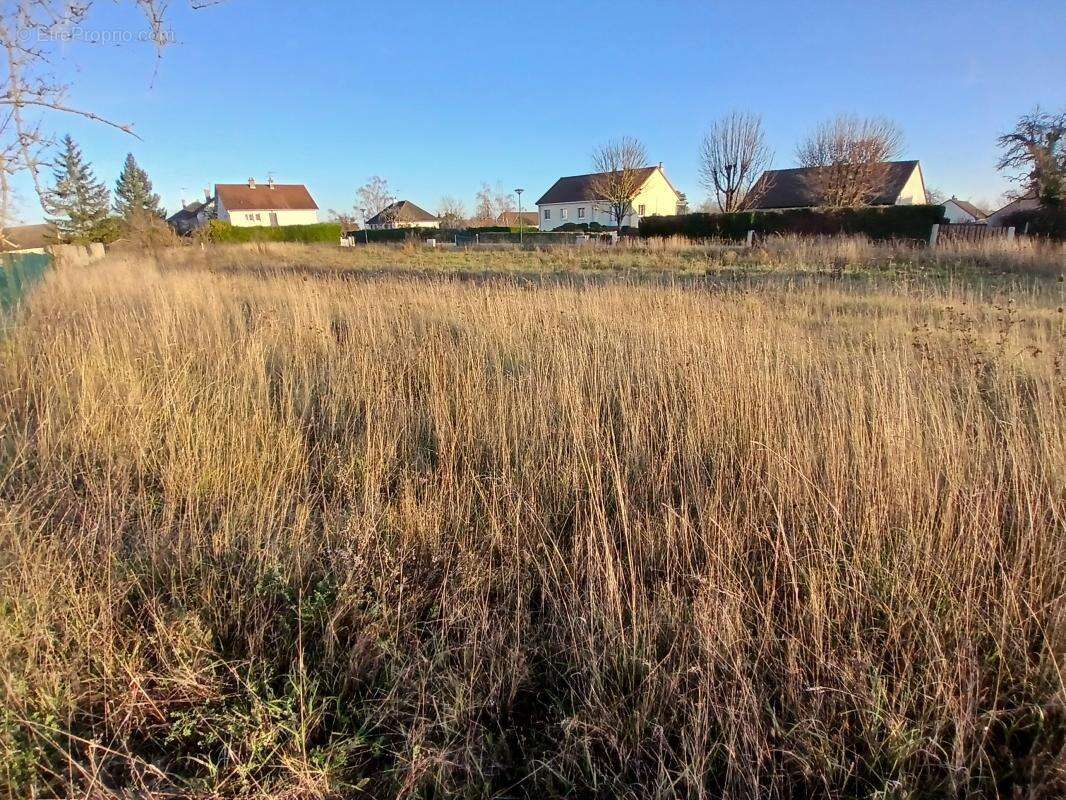 Terrain à SOUVIGNY