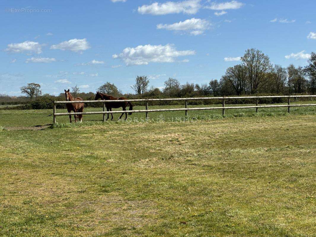 Propriété équestre clé en main avec manège et carrière, 15 - photo 13
