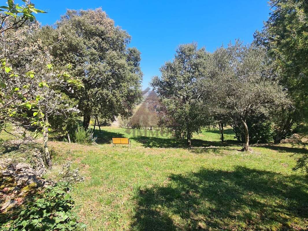 Coup de coeur pour cette propriété avec + d'un hectare de terrain - photo 14