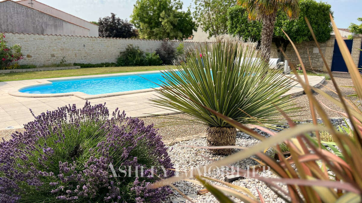 Exclusivité - à vendre 10 min de la rochelle  - maison familiale  5 chambres avec piscine et jardin2 - photo 3