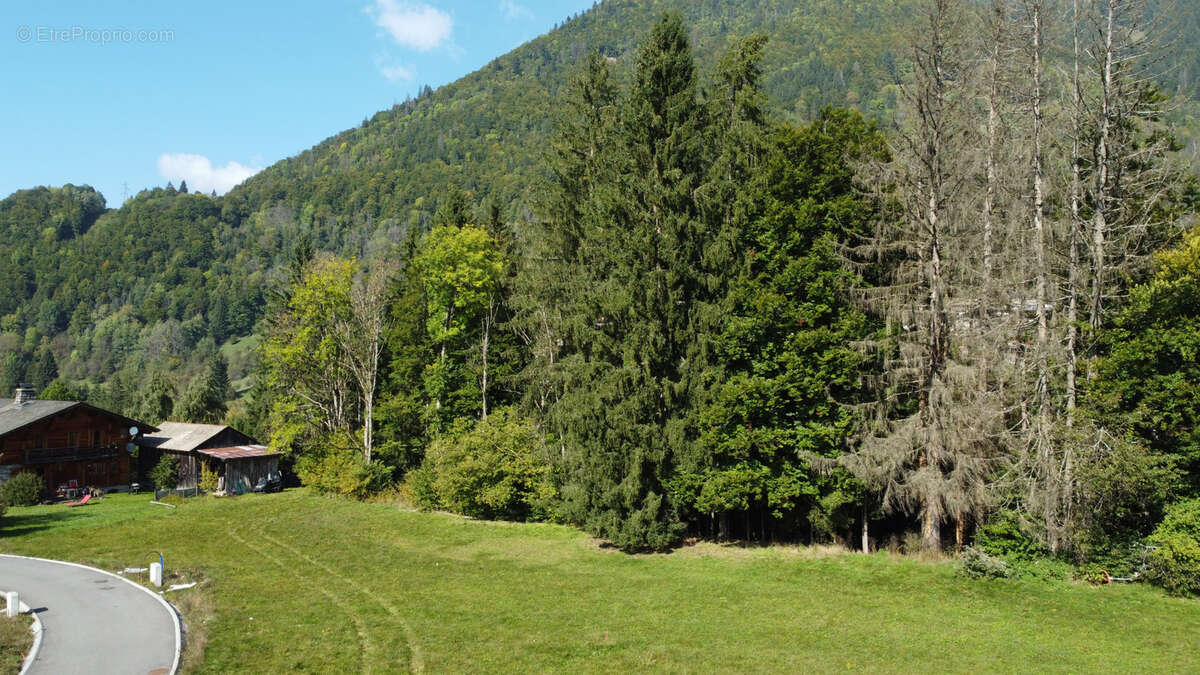 Terrain à MONTRIOND
