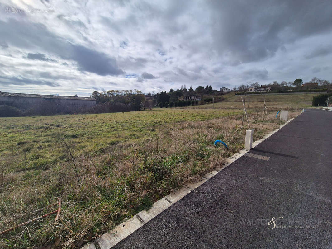 Terrain à RABASTENS