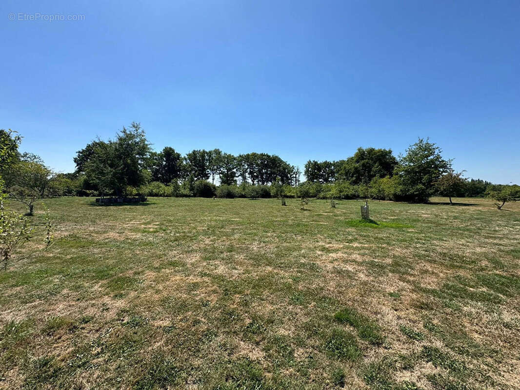 HAUTE VIENNE -  Superbe ferme en pierre entièrement rénovée ? grandes granges et 1,5 hectare de terrain - photo 3