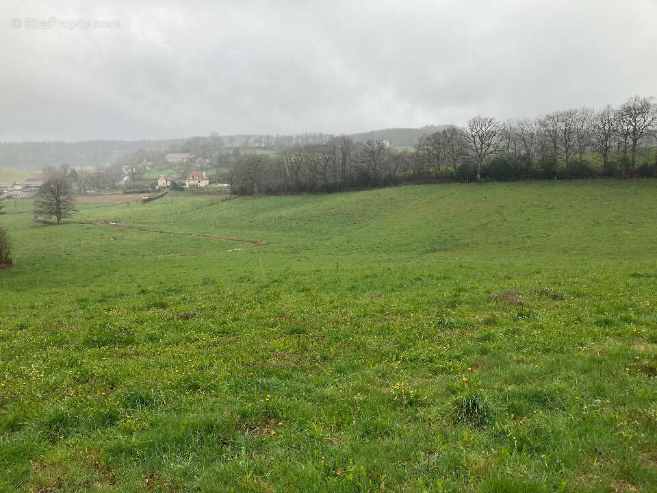 Terrain 1160 m² à Lafeuillade-En-Vezie  - photo 2