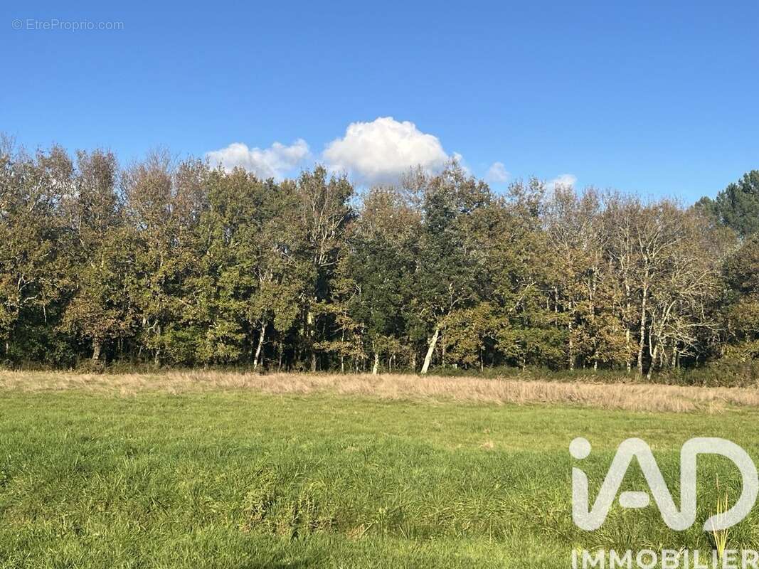 Photo 5 - Maison à VENSAC