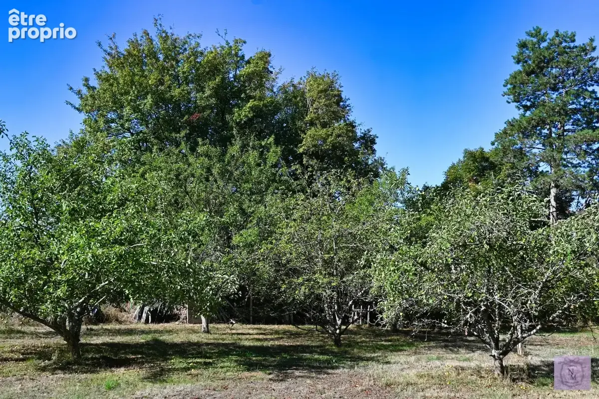 À vendre : charmante maison indépendante Alluy 58110 - photo 47