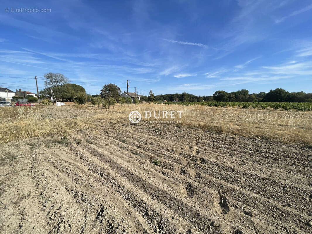 Terrain 500 m² à Maisdon-Sur-Sevre  - photo 6