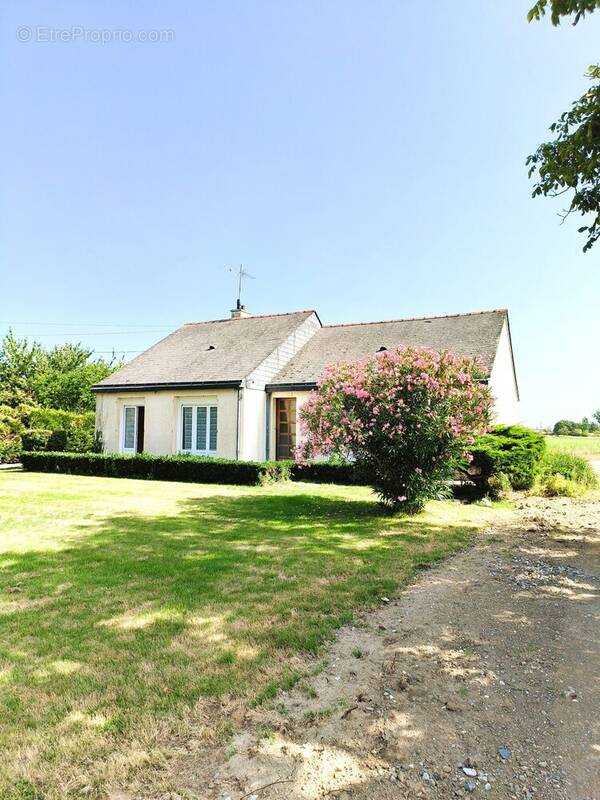 Maison à LA MENITRE
