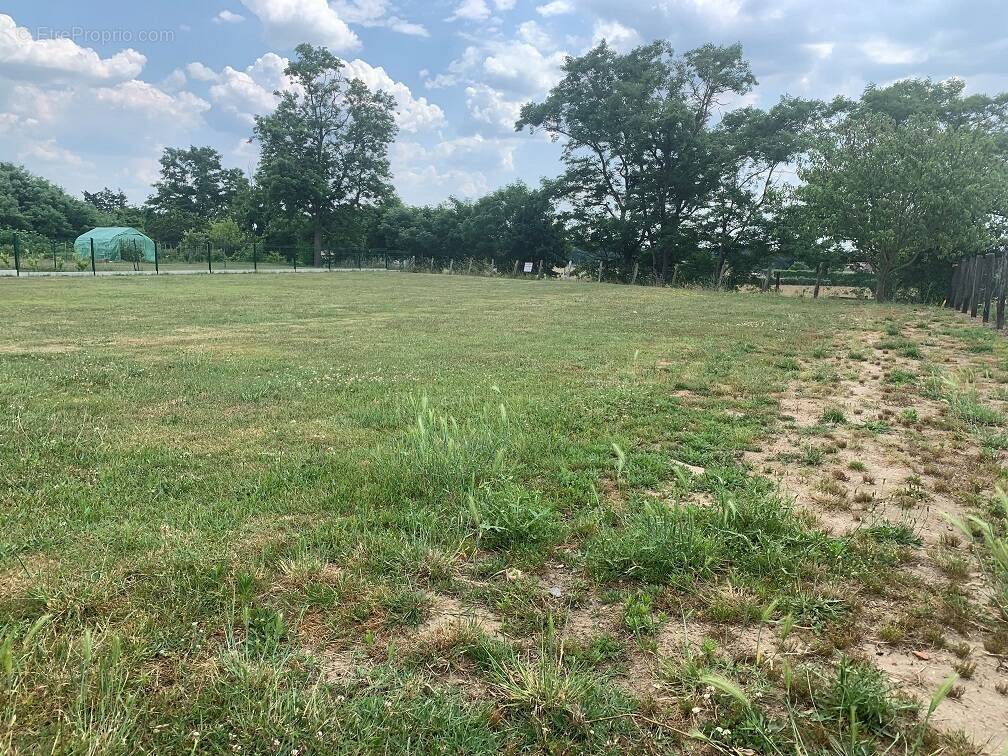 Terrain à PARAY-LE-MONIAL