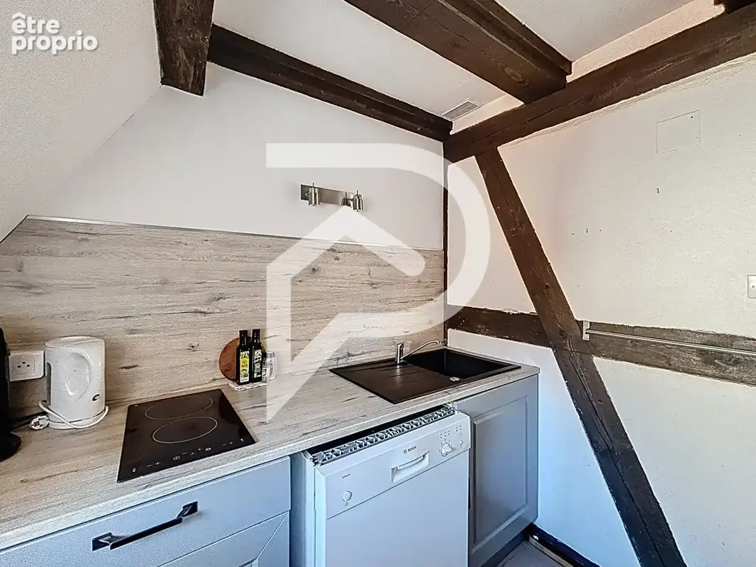 Duplex Colmar 2 pièce(s) 41 m2 - photo 6
