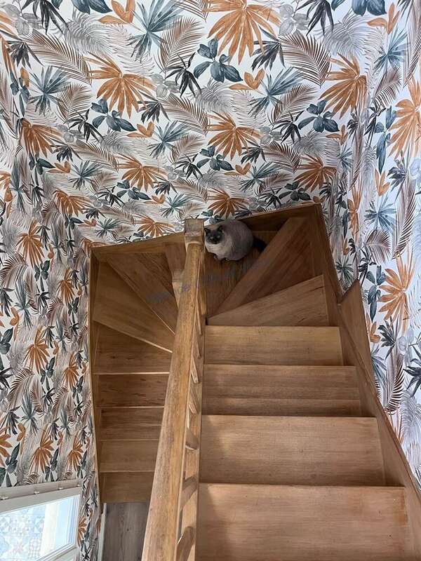 Maison à PLENEUF-VAL-ANDRE