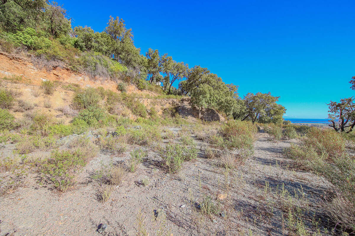 Terrain à OLMETA-DI-TUDA