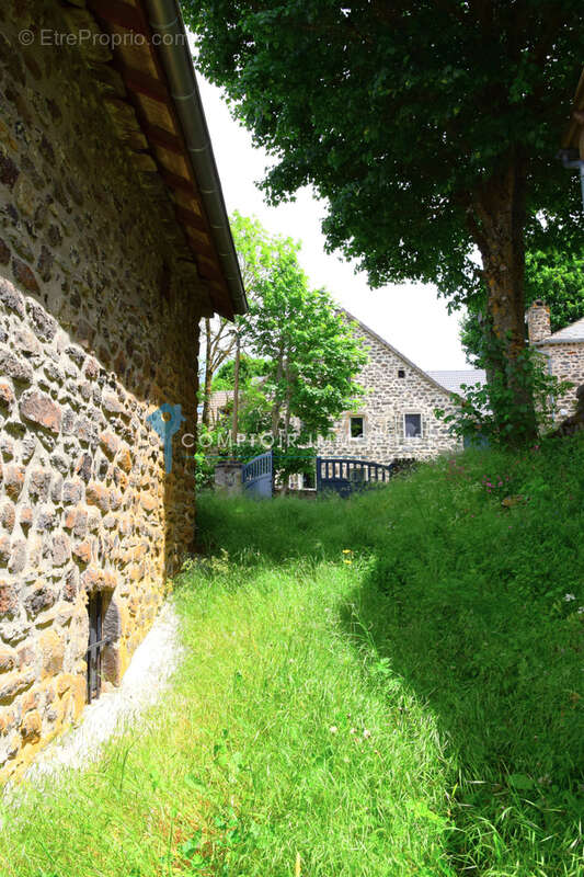 Dépt. 43 - A VENDRE à FREYCENET-LA-CUCHE - Ferme Rénovée de 175 m2 - Parcelles de 990 m2. - photo 21