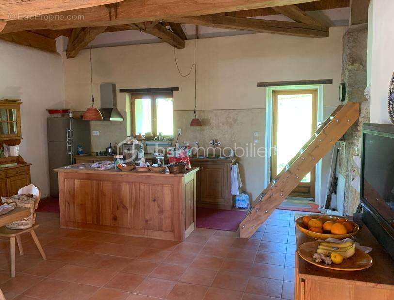 Proche Eauze - Propriété de 13ha en BIO - photo 6