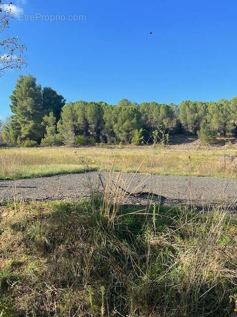 Terrain viabilise - 2 850m2 - a 6km de limoux - photo 6