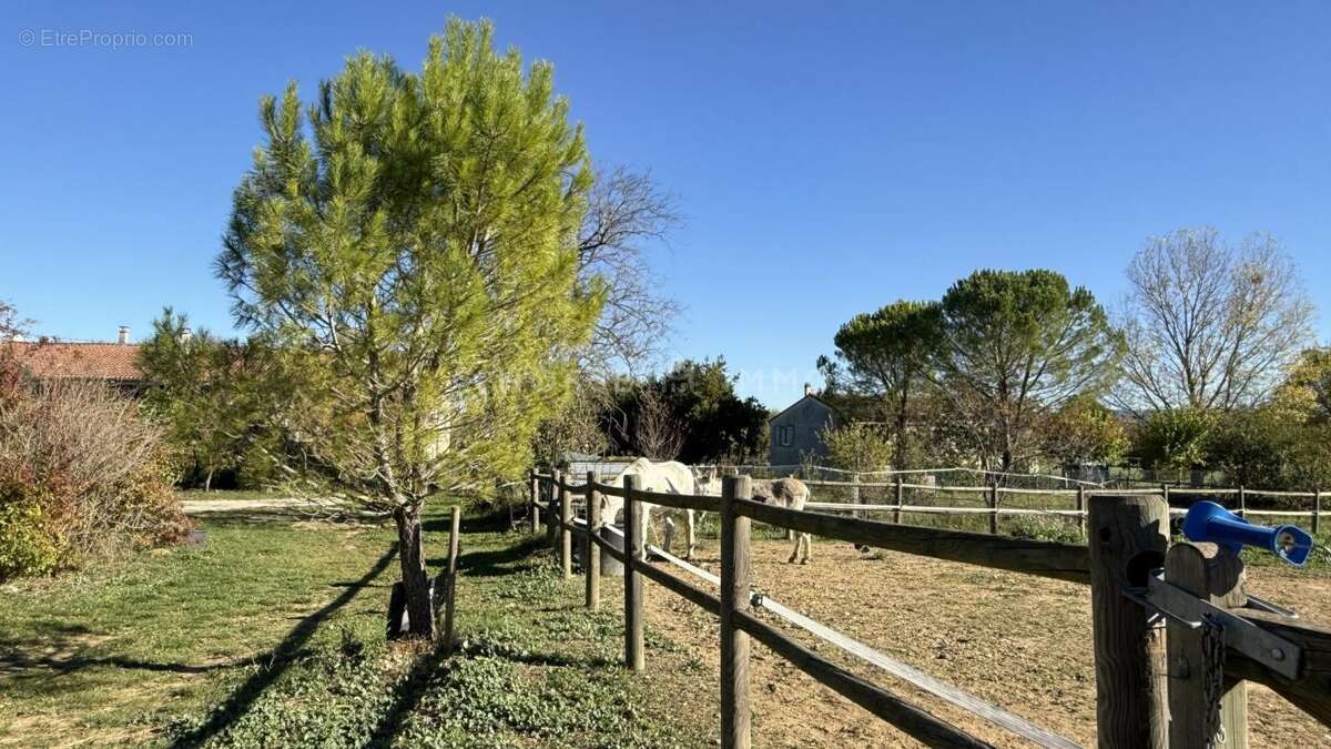 Maison à ALLEGRE-LES-FUMADES