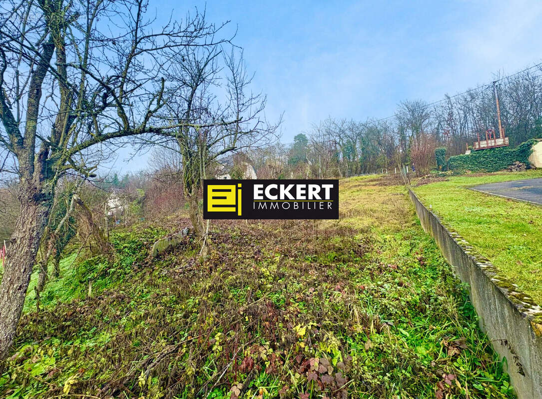 Terrain à DINSHEIM-SUR-BRUCHE