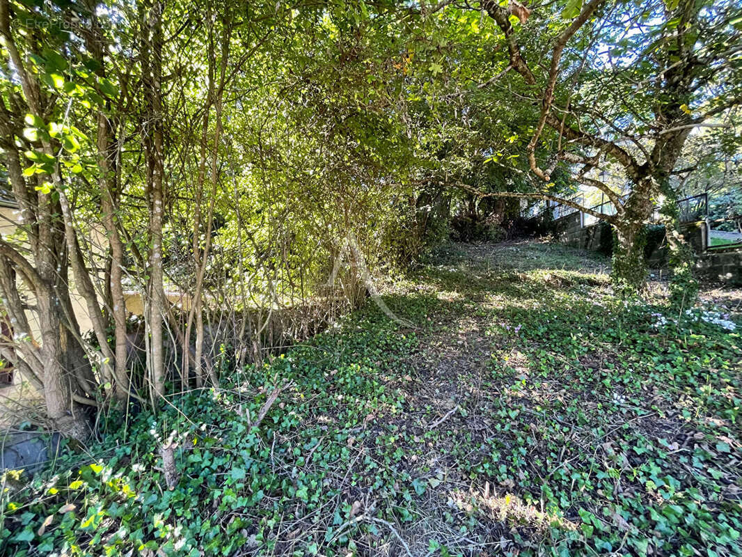 Maison à CHISSAY-EN-TOURAINE
