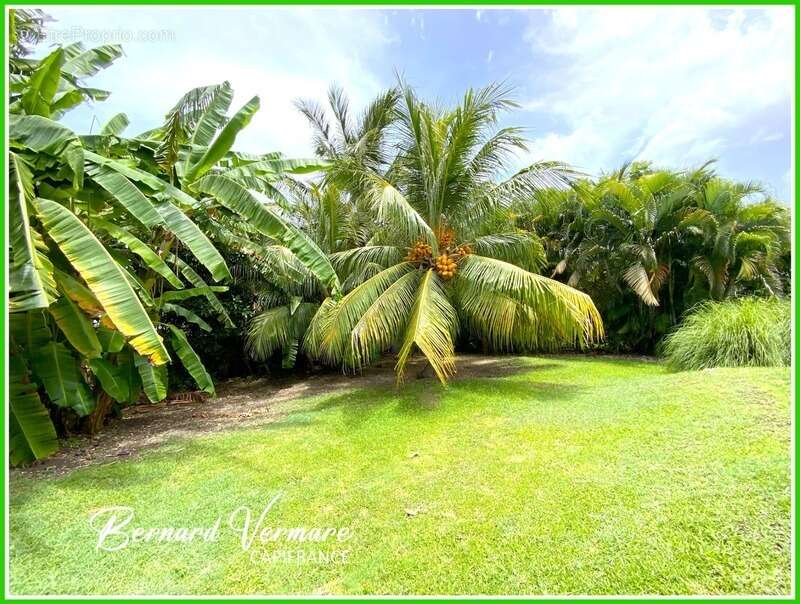 Maison à SAINT-FRANCOIS