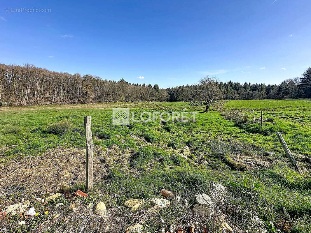 Maison à TREFFORT-CUISIAT