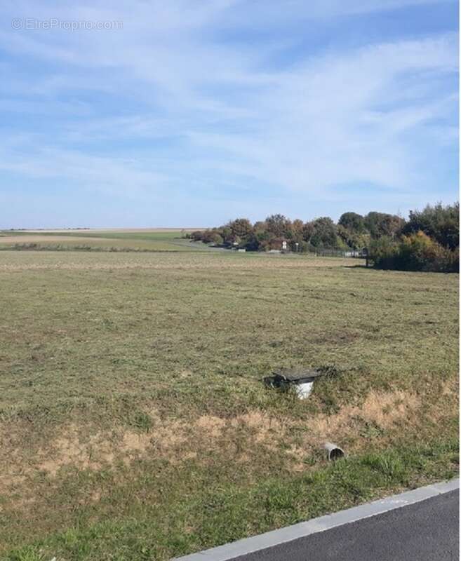 Terrain 687 m² à Croisilles  - photo 2