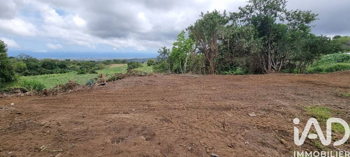 Photo 1 - Terrain à LE TAMPON