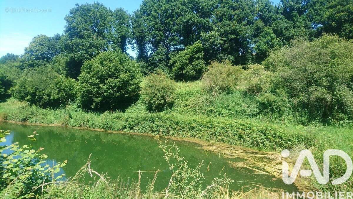 Photo 7 - Terrain à PLEMET