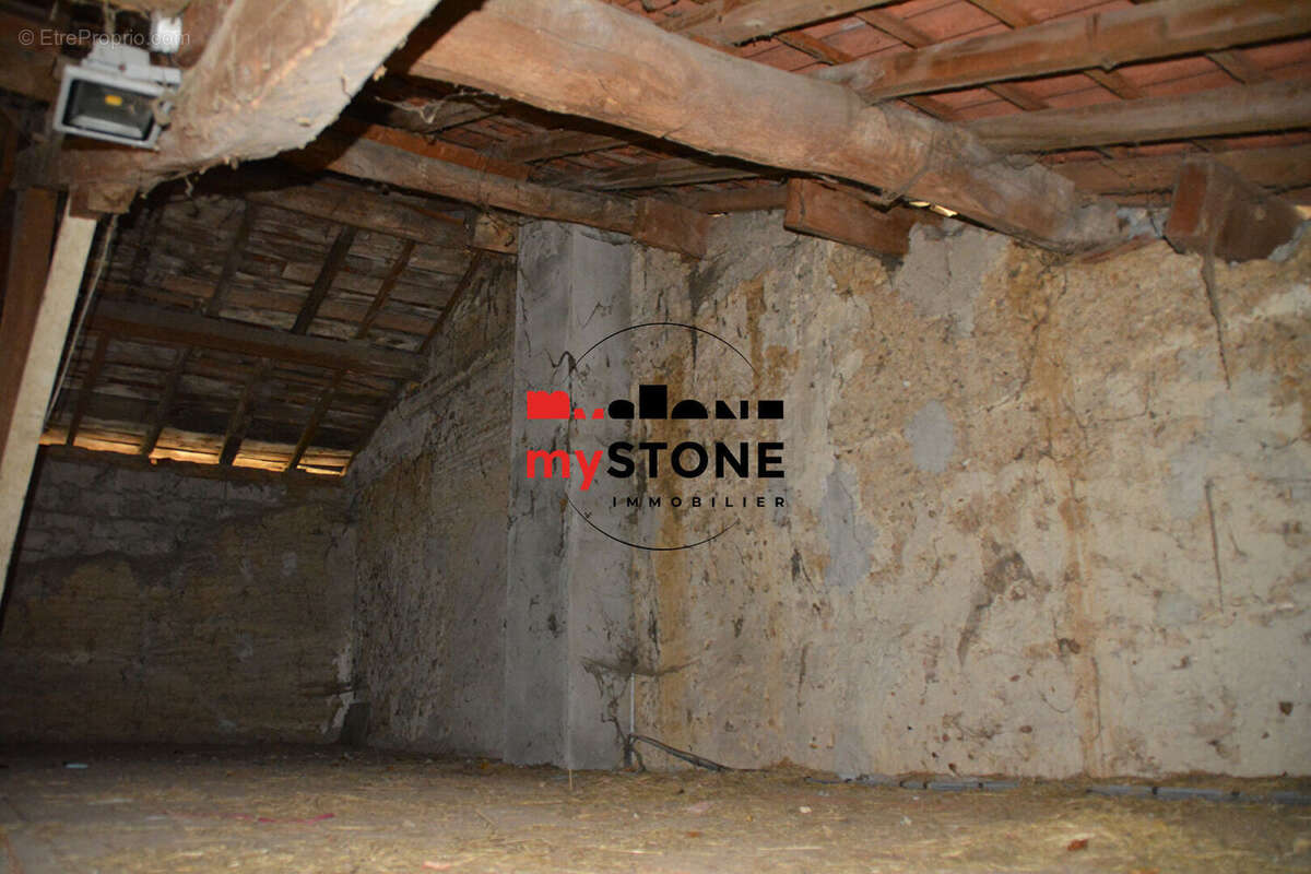 CHATILLON SUR CHALARONNE - Grange à aménager sur 540 m² de terrain - photo 7