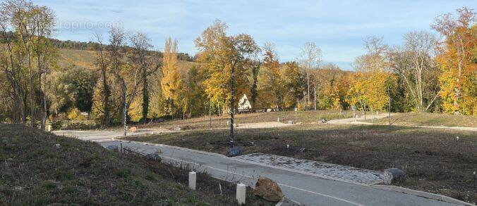Terrain à COULOMMES-LA-MONTAGNE