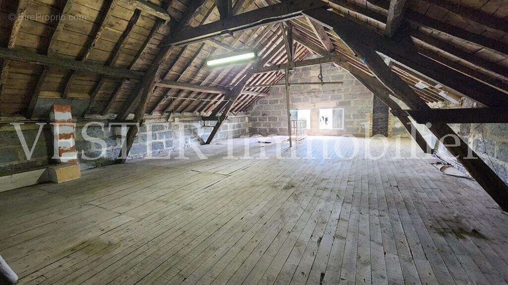 Maison ancienne rénovée de 130m2 + 130m2 aménageables, dans un écrin de verdure - photo 12