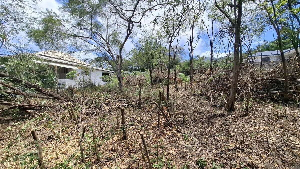 Terrain à BOUILLANTE