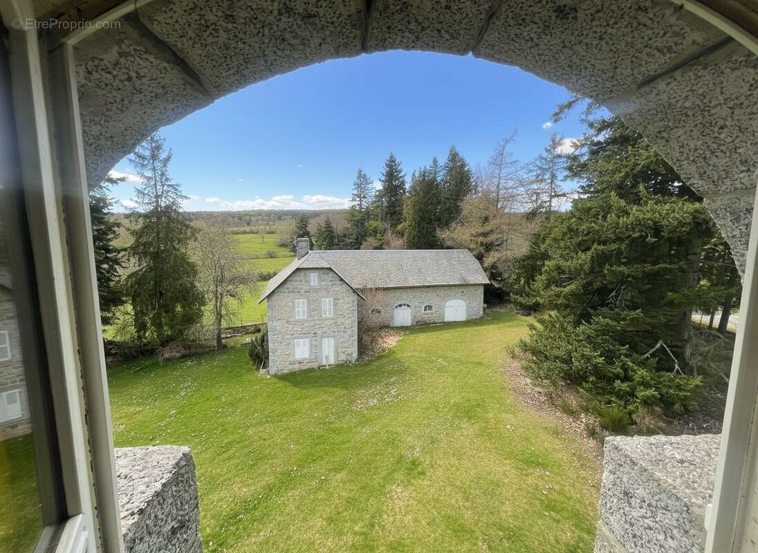 Château - Propriété de Caractere - photo 5