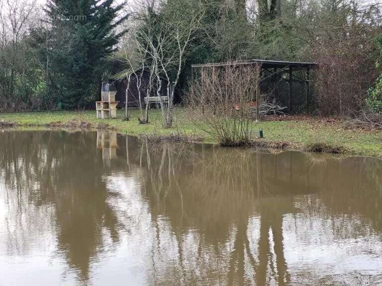 Terrain à LOIGNE-SUR-MAYENNE