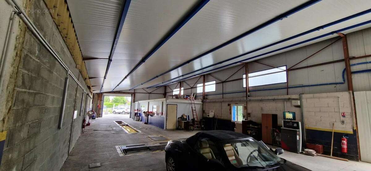 Commerce à L&#039;ISLE-JOURDAIN