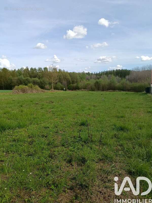 Photo 3 - Terrain à VUILLERY