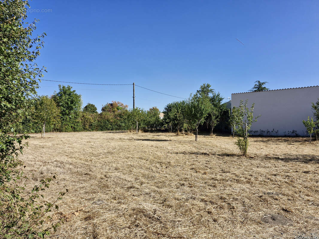 Terrain à vendre   Saint-Saturnin-du-Bois - photo 2