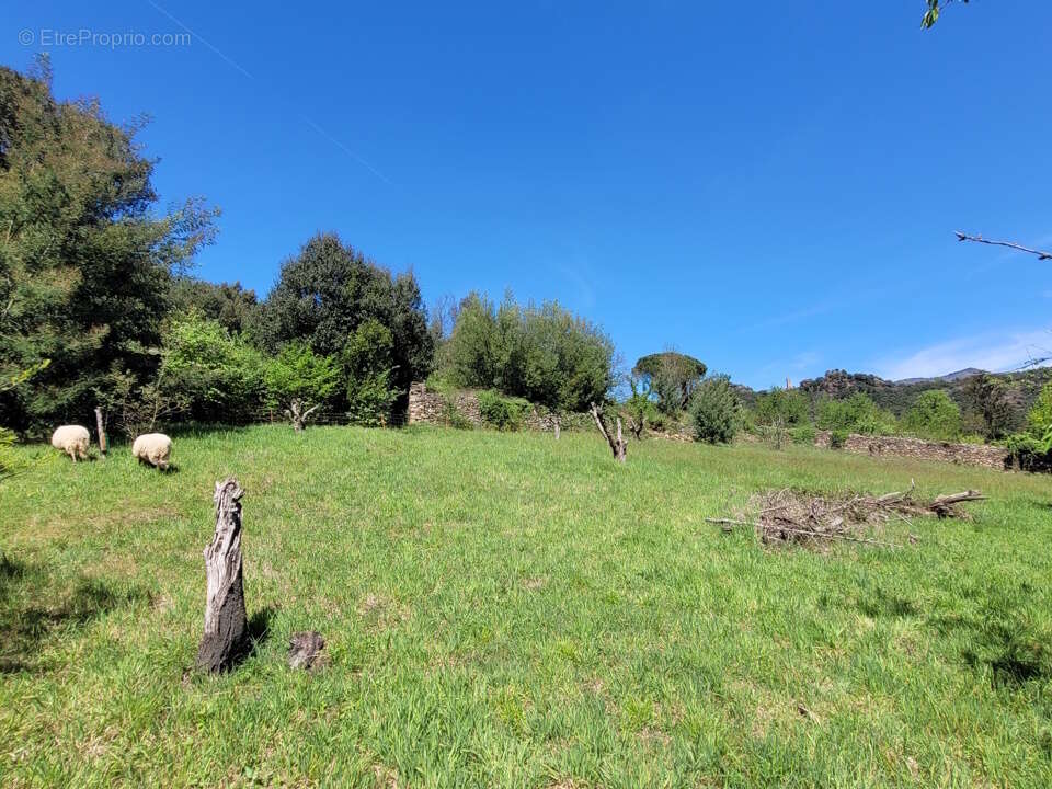 Maison à LAMALOU-LES-BAINS
