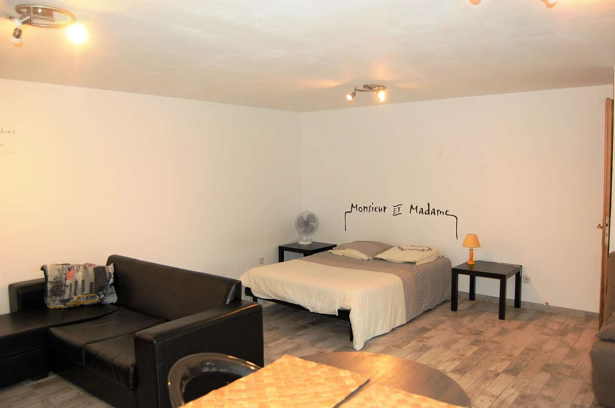 Mas du 19ieme avec 3 gites et partie privative 180m2 sur 3843 m2 de terrain avec piscine - photo 10