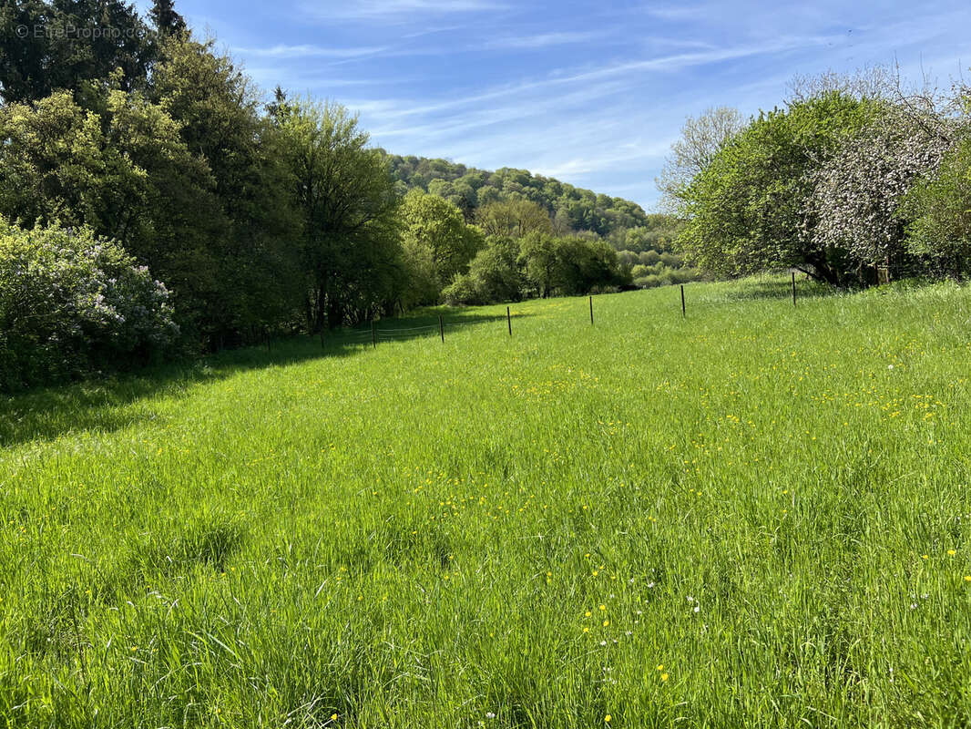 Terrain à VIVIERS-SUR-CHIERS